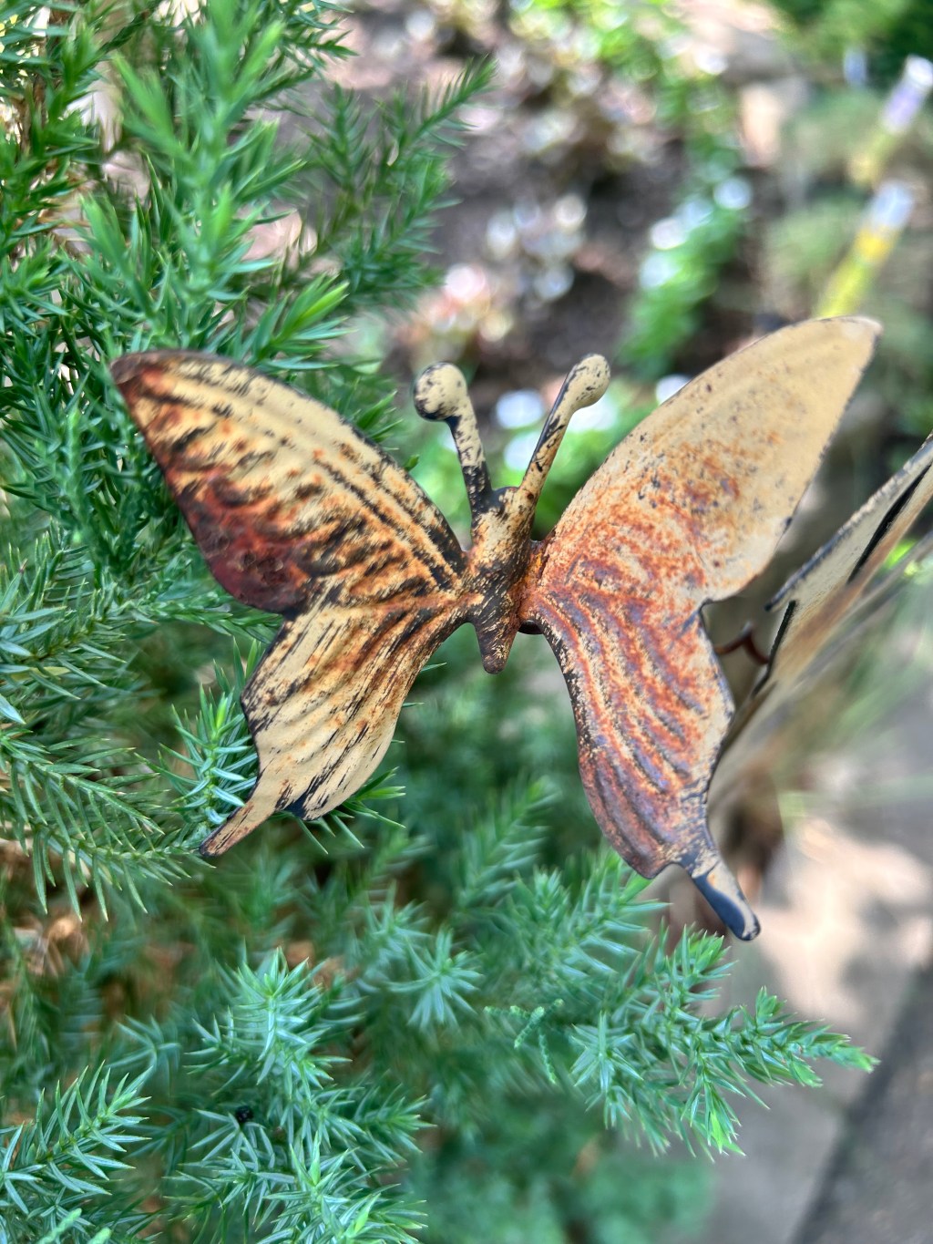 The Butterfly That Fooled Me (and Garden Décor&nbsp;Wins)